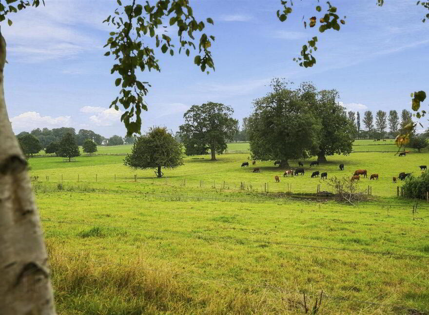 9 Oldstone Manor, Antrim, BT41 4DY