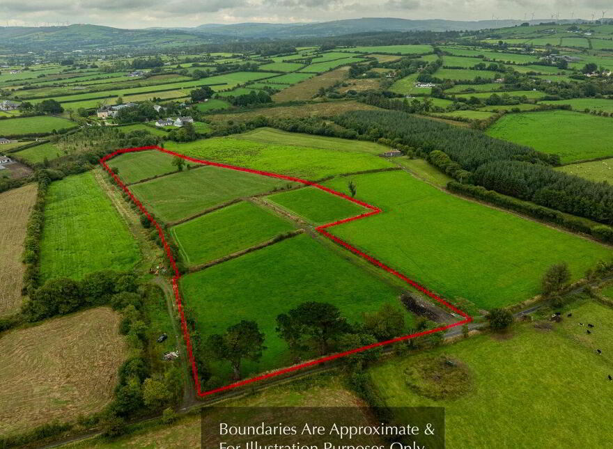 Dromtrasna Collins, Abbeyfeale photo