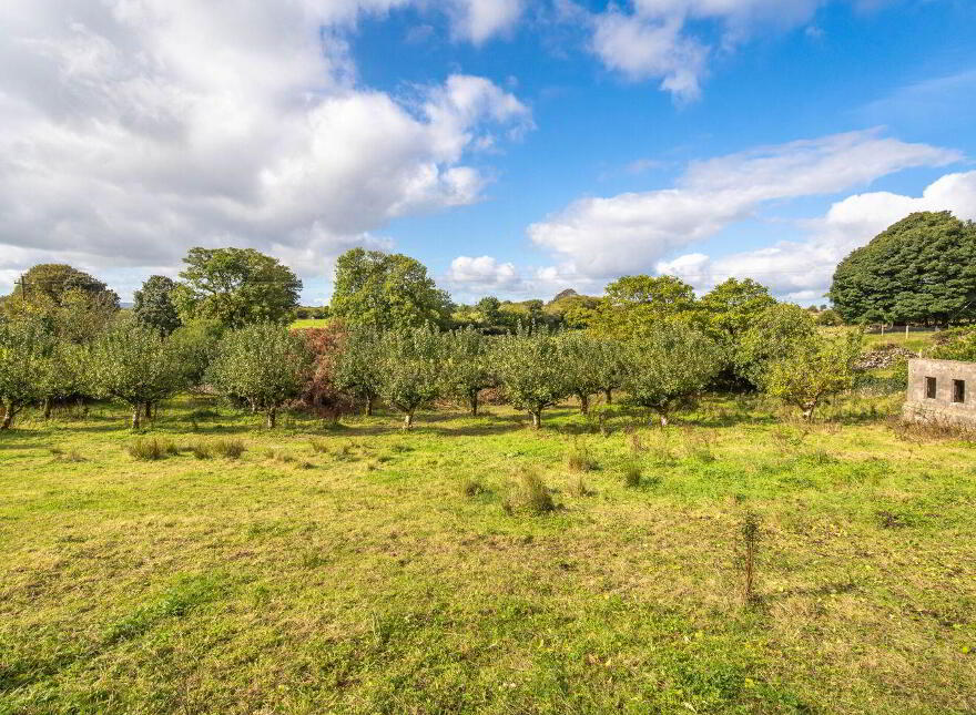 Bunavaunish House, Mile Hill, Ballinrobe, F31YX66
