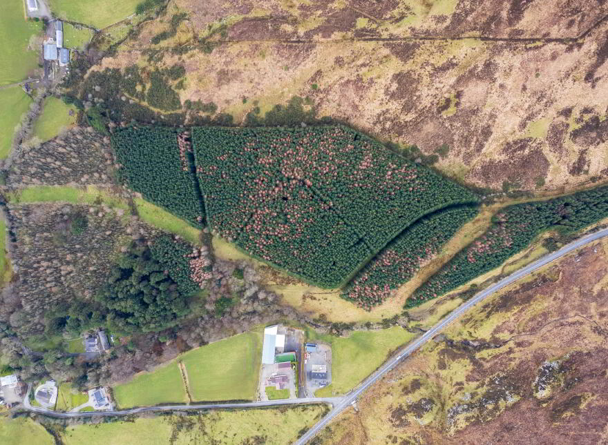 Ballinlough, Drumfries, Buncrana