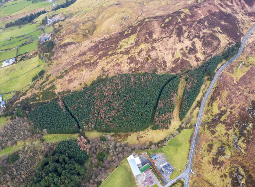 Ballinlough, Drumfries, Buncrana