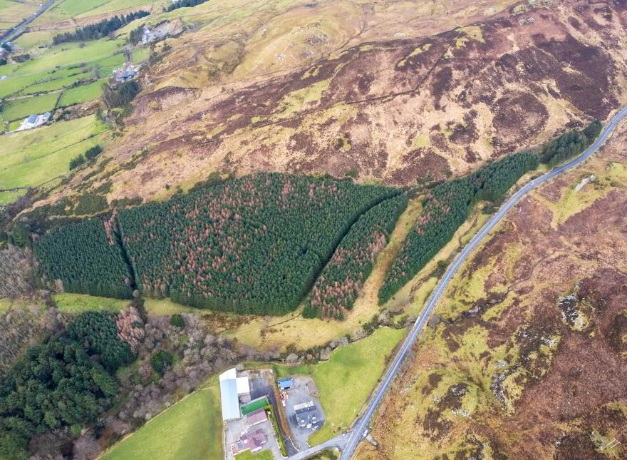 Ballinlough, Drumfries, Buncrana