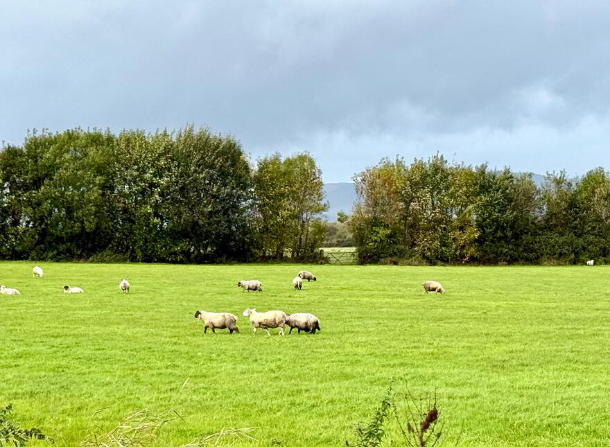 61 Mallory Park, Eglinton, Derry, BT47 3XJ