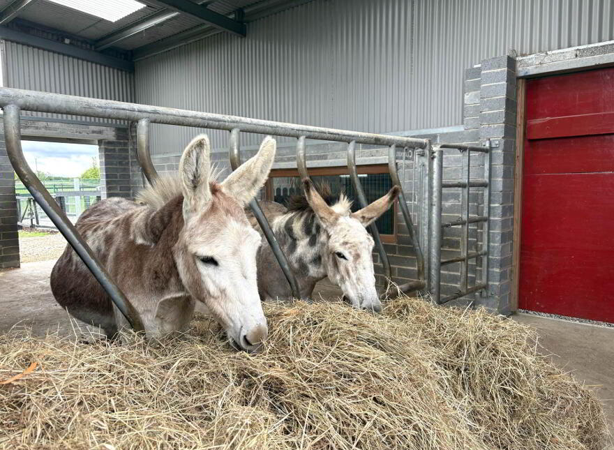 Skephubble Farm,, House And Commercial On Lands C1.79ha(4.4acres), Skep...Dublin, K67X0V1