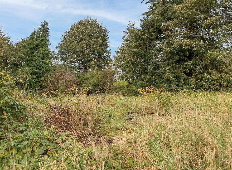 Rathbrack, Clonmellon, Killallon, C15E244