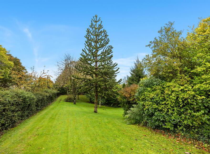 102 Dromore Road, Ballynahinch, BT24 8HX