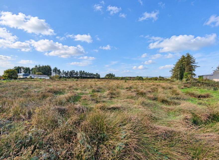 Eden, Knock