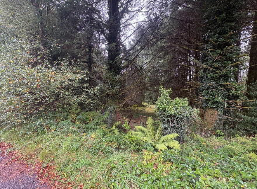 Gortnacarriga, Inchigeelagh, Macroom