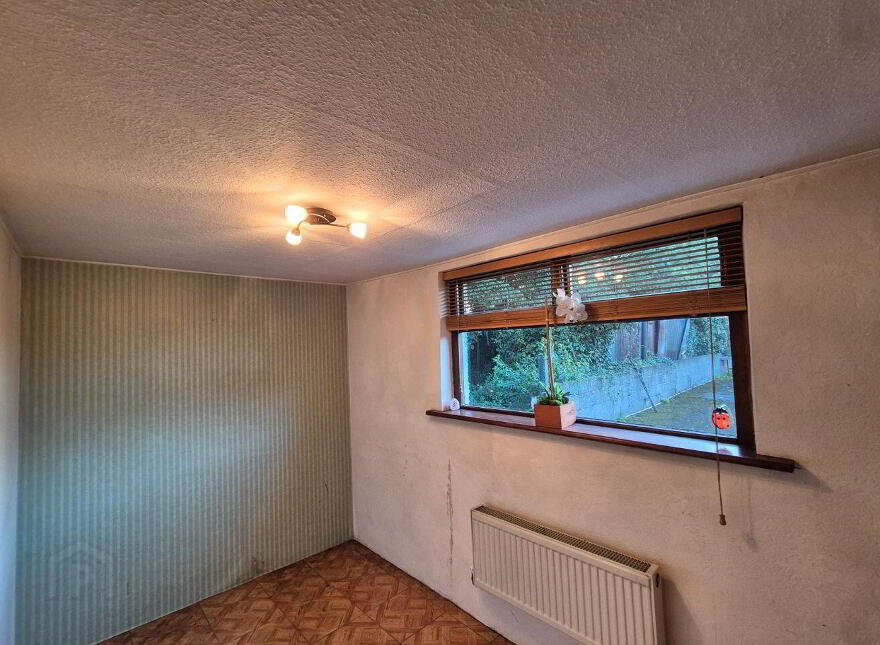 9 Emmett Street, Mountmellick, R32EK16