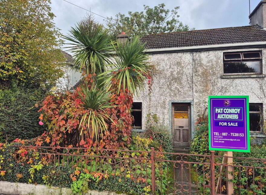 10 Emmett Street, Mountmellick, R32V403