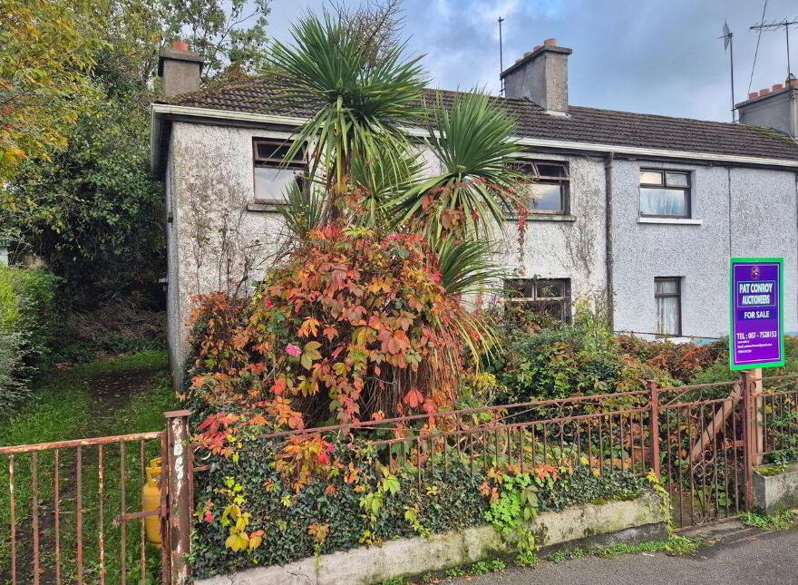 10 Emmett Street, Mountmellick, R32V403