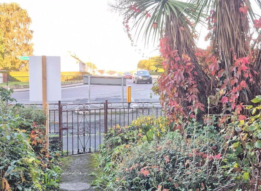 10 Emmett Street, Mountmellick, R32V403
