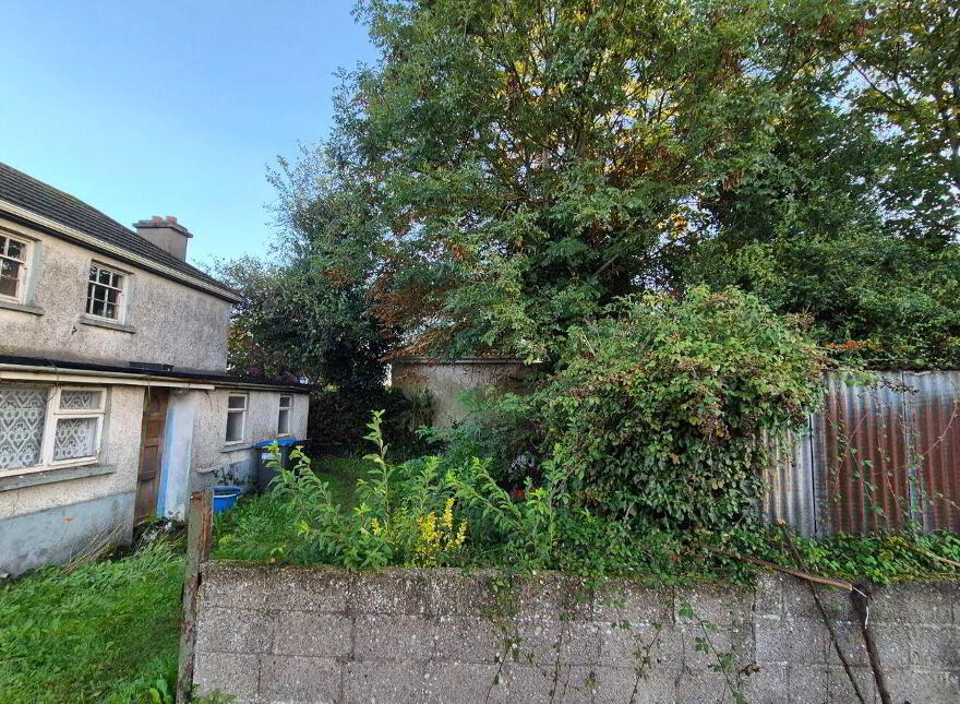 10 Emmett Street, Mountmellick, R32V403