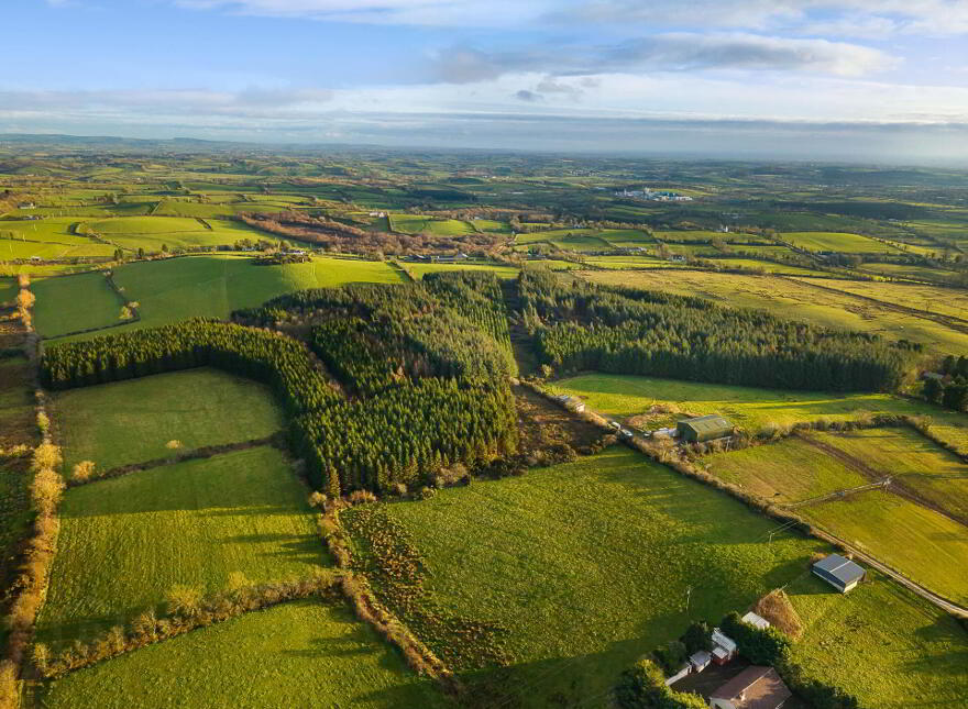 Carrickleck, Nobber