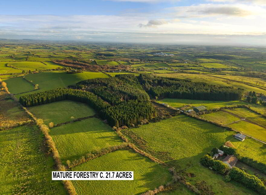 Carrickleck, Nobber
