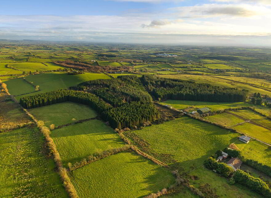 Carrickleck, Nobber