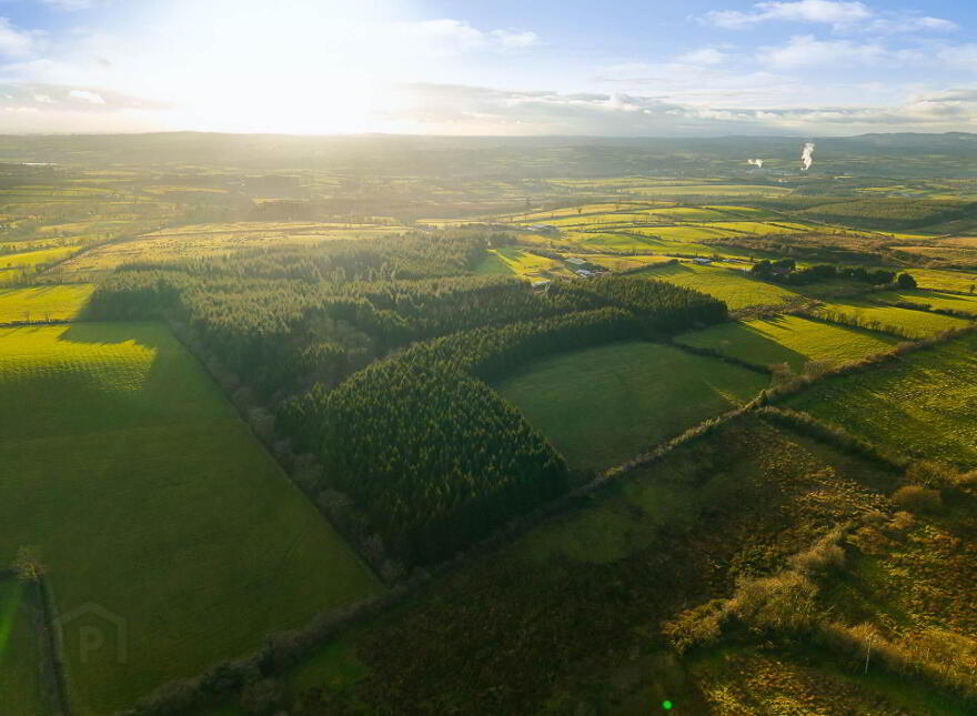 Carrickleck, Nobber