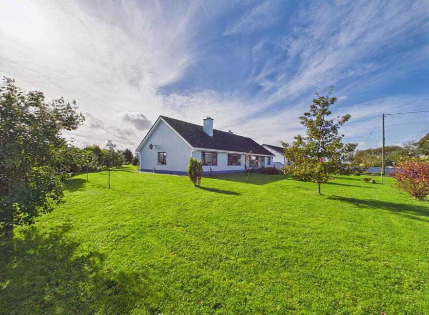Moneen, Menlough, Ballinasloe, H53P263