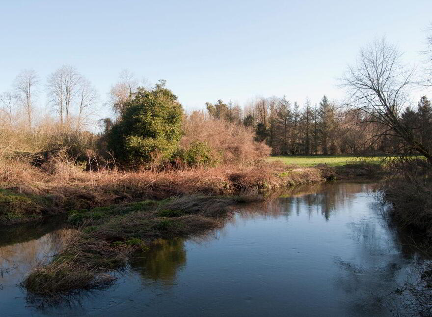 Idaho, Seamount, Courtown, Riverchapel, Y25X3P9