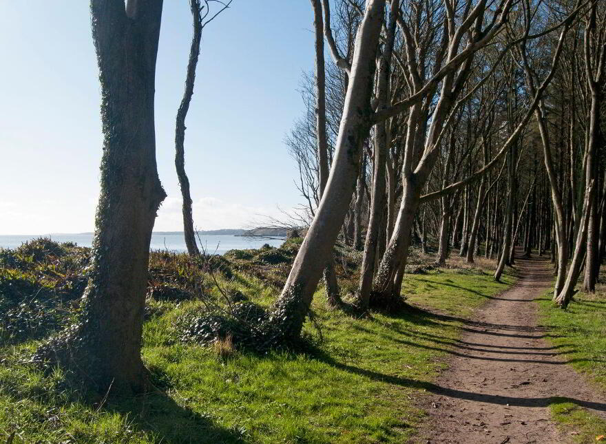 Idaho, Seamount, Courtown, Riverchapel, Y25X3P9