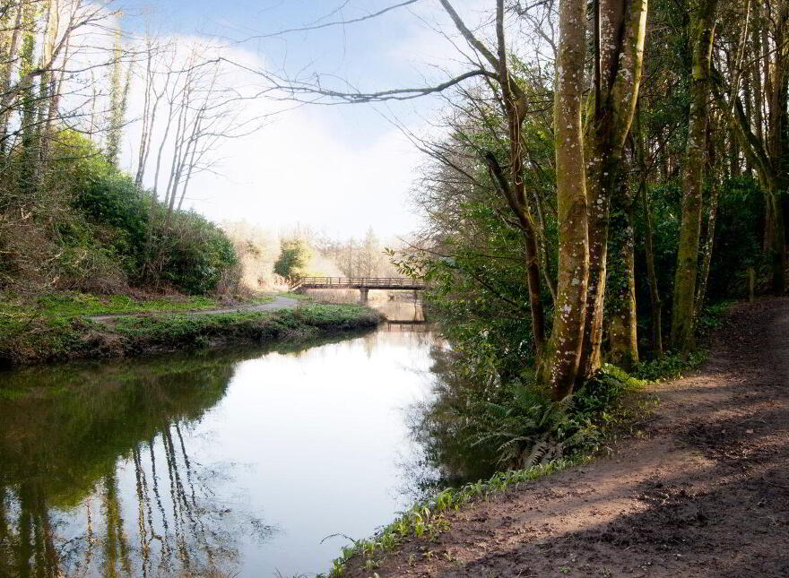 Idaho, Seamount, Courtown, Riverchapel, Y25X3P9