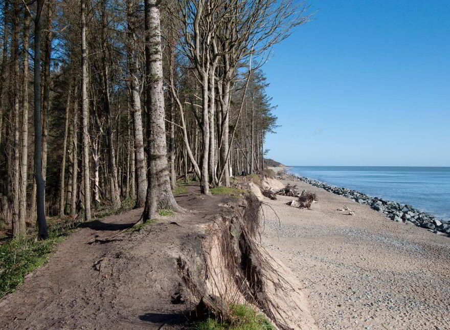 Idaho, Seamount, Courtown, Riverchapel, Y25X3P9