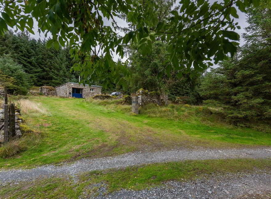 Quintagh, Valleymount, W91AYX6