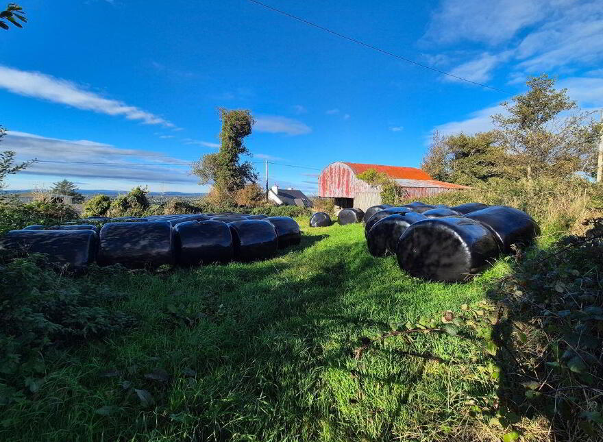 Ballinaslava, Foxford, Knockmore, F26FK49