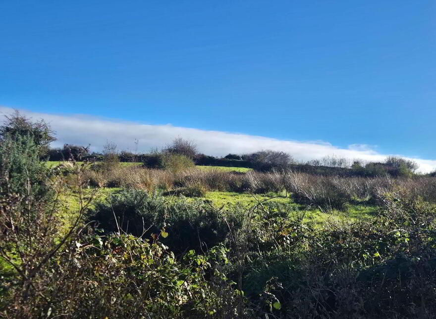 Ballinaslava, Foxford, Knockmore, F26FK49
