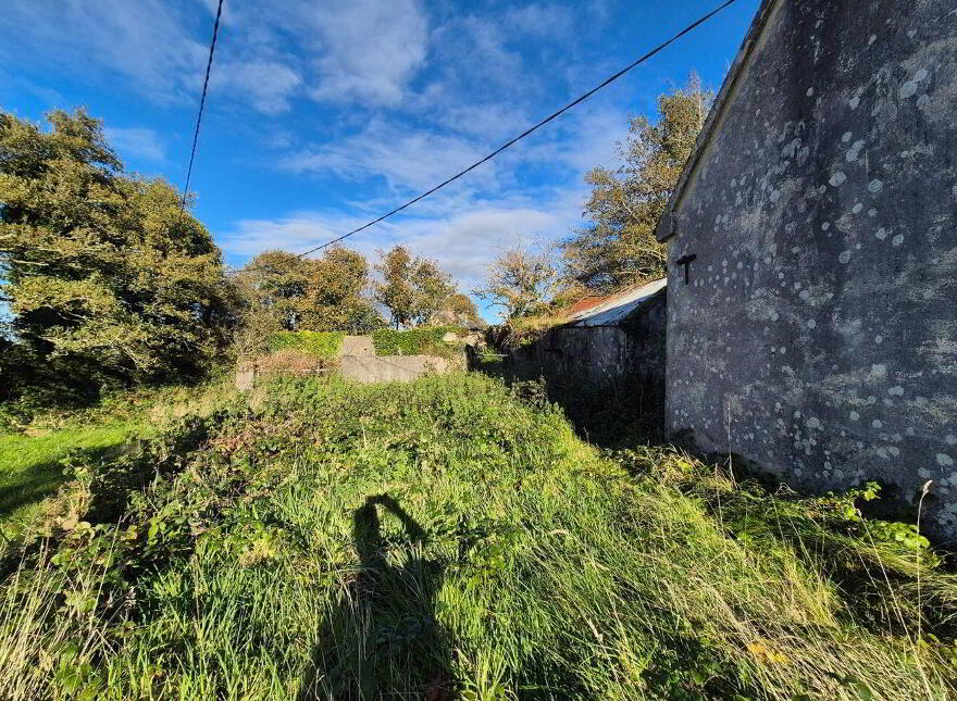 Ballinaslava, Foxford, Knockmore, F26FK49