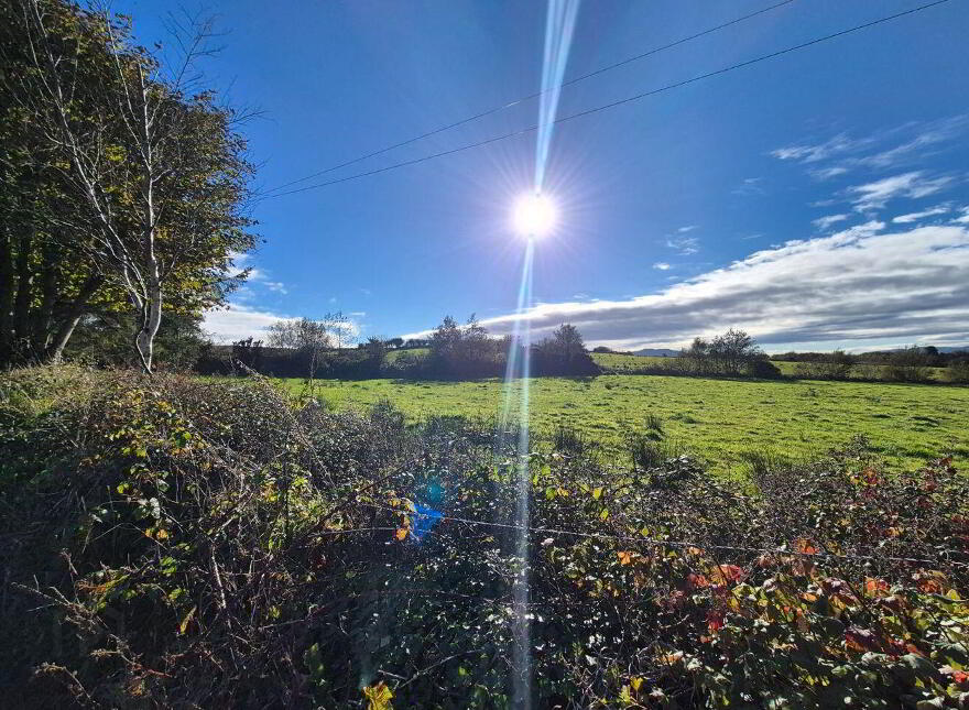 Ballinaslava, Foxford, Knockmore, F26FK49