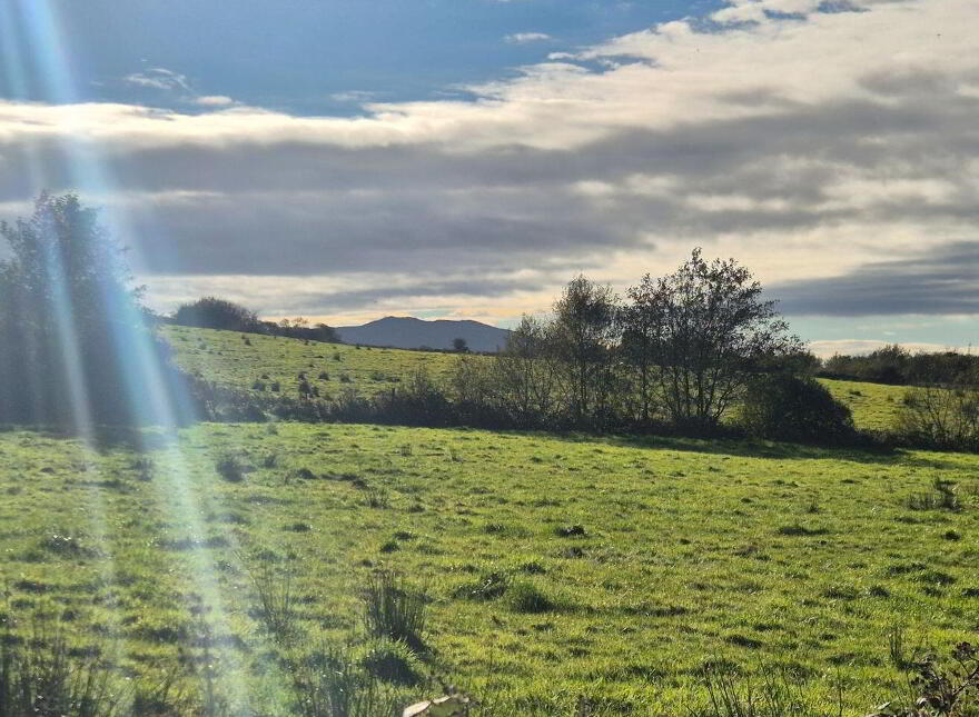 Ballinaslava, Foxford, Knockmore, F26FK49