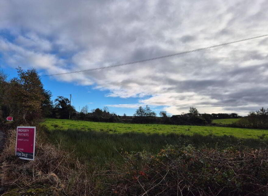 Ballinaslava, Foxford, Knockmore, F26FK49