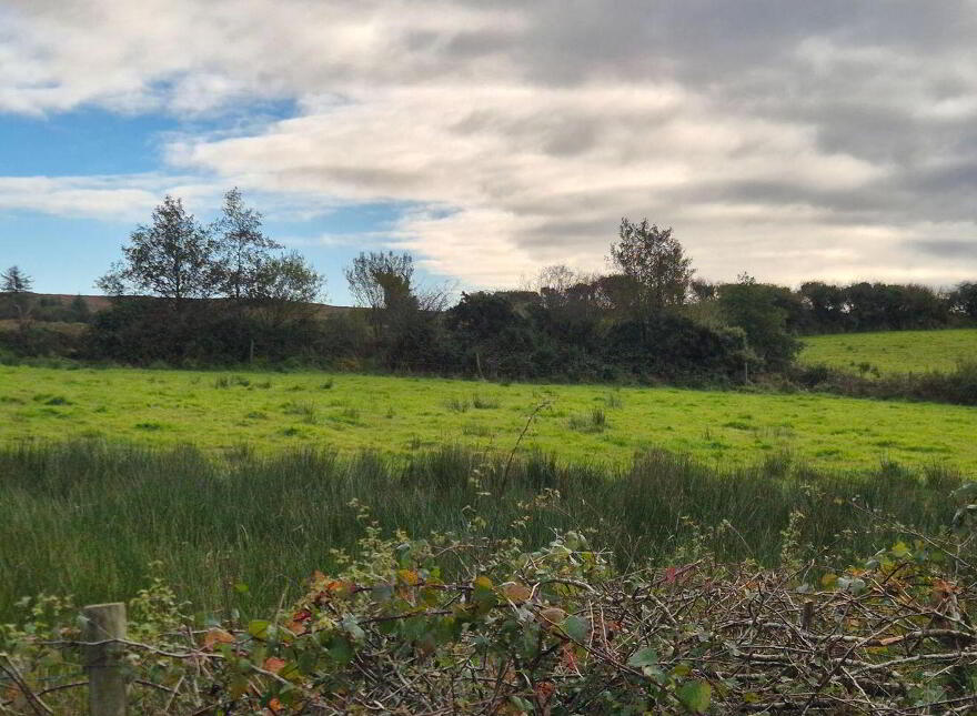 Ballinaslava, Foxford, Knockmore, F26FK49