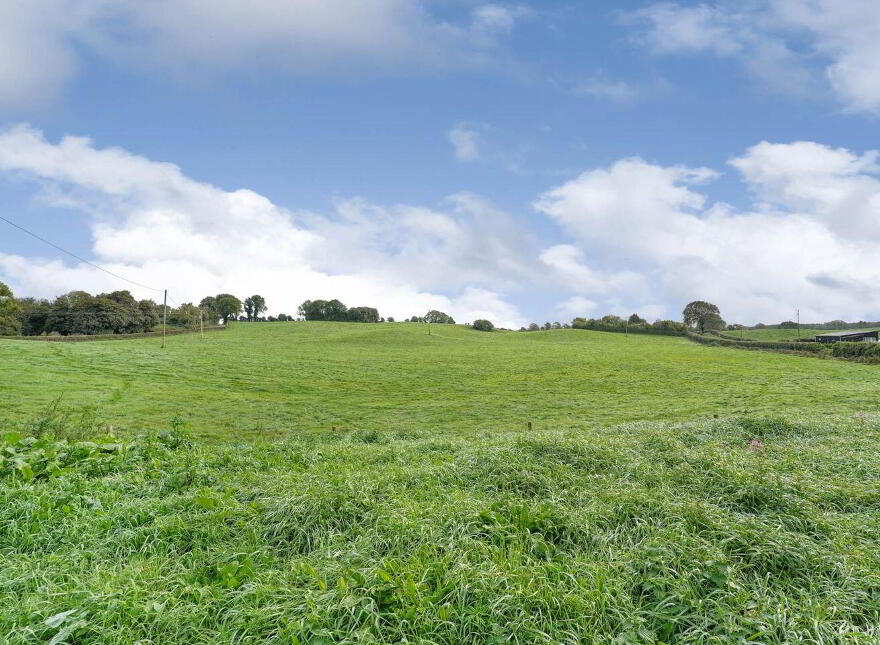 Ballinacor, Delvin, N91NV24