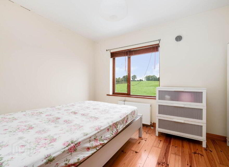 Ballinacor, Delvin, N91NV24