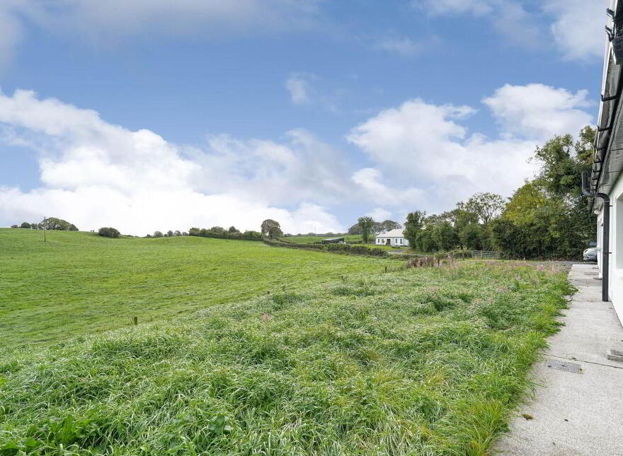 Ballinacor, Delvin, N91NV24