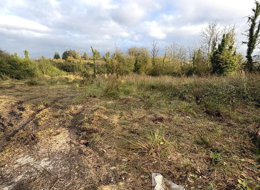 Miskaun Glebe, Aughnasheelin, Ballinamore