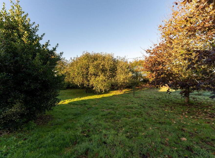 Friarstown, Grange, Ballyneety, V35RD88