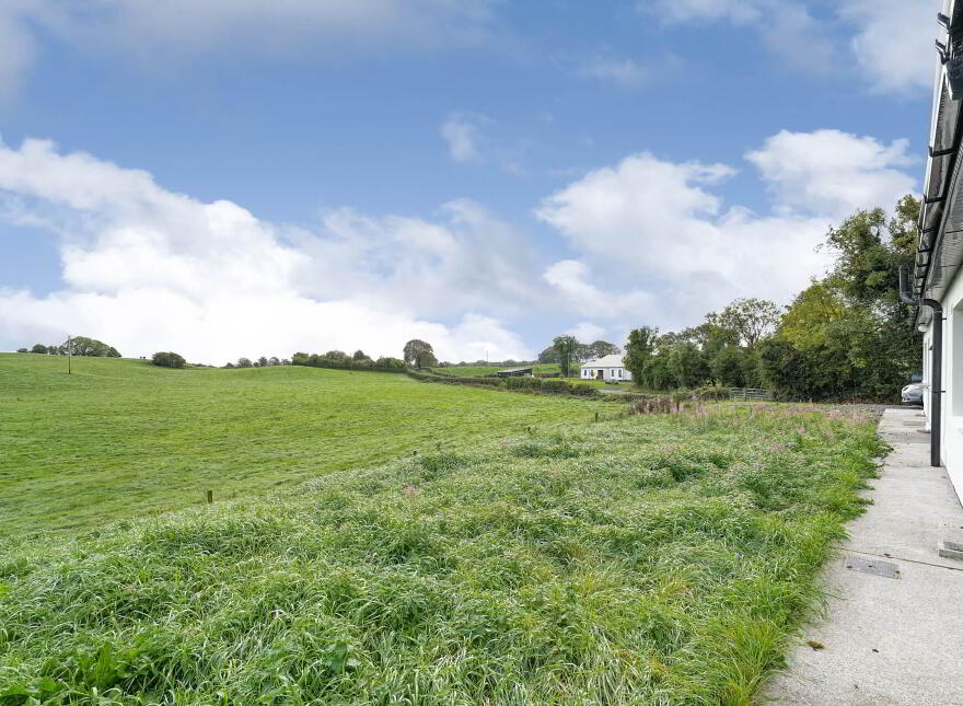 Ballinacor, Delvin, N91NV24