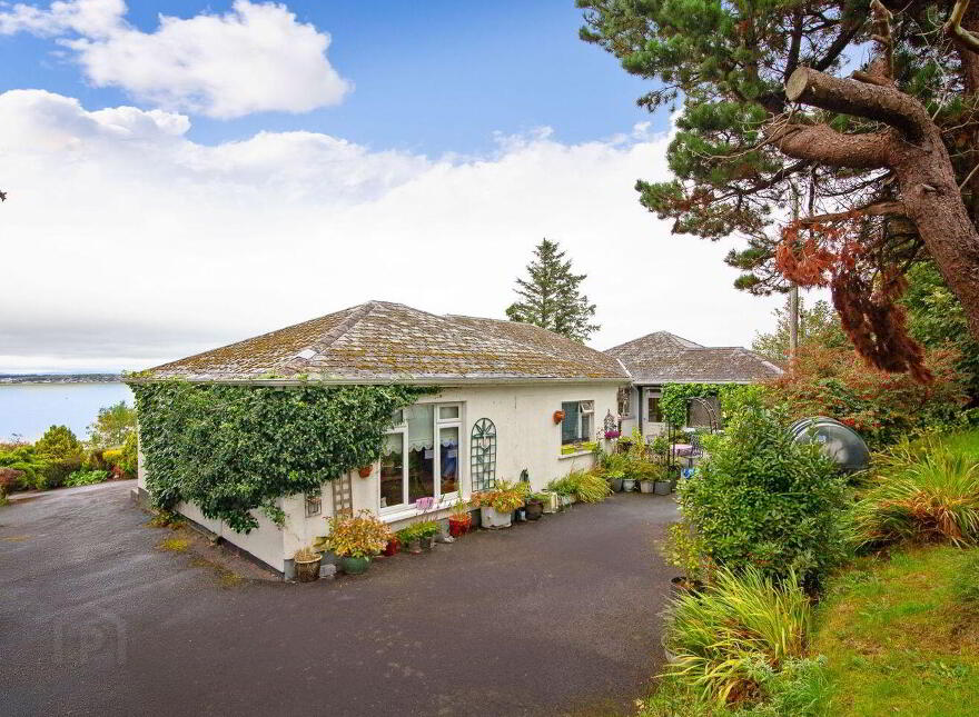Windrush, Lecarrow, Strandhill, F91X765