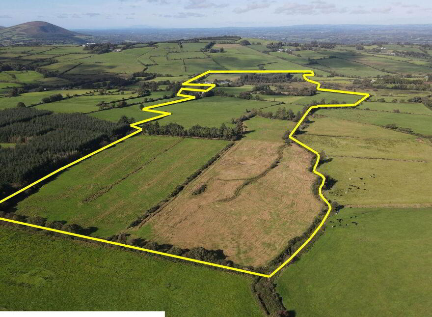 Tooreenbawn, Millstreet, P51A0D7