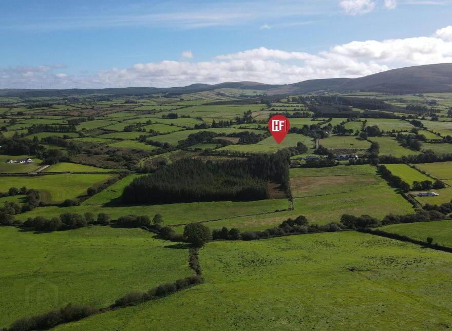 Tooreenbawn, Millstreet, P51A0D7