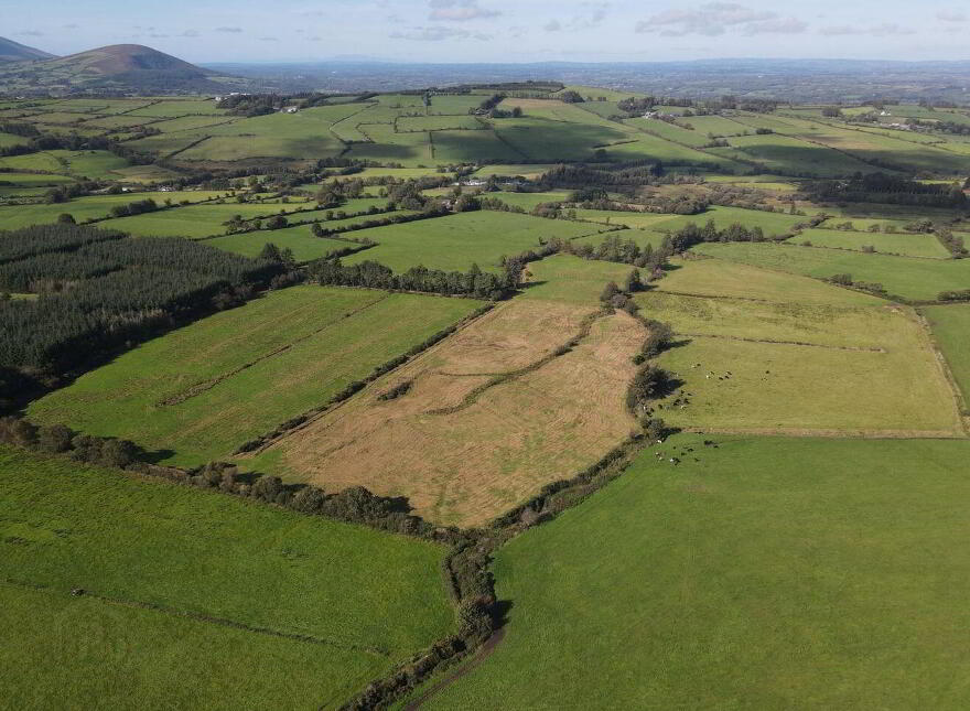 Tooreenbawn, Millstreet, P51A0D7