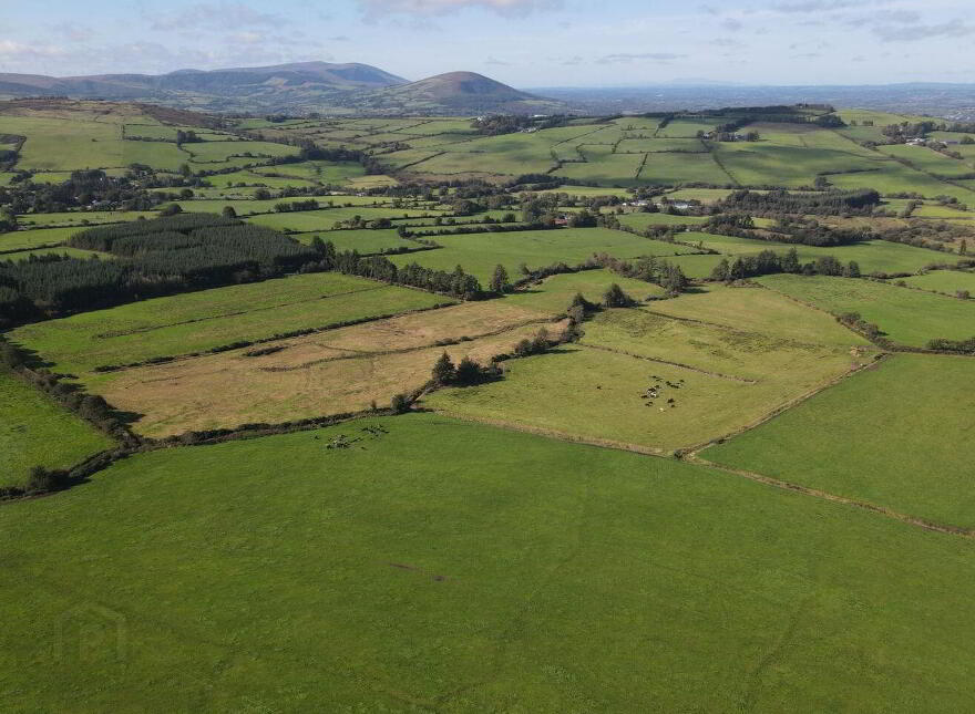 Tooreenbane, Millstreet