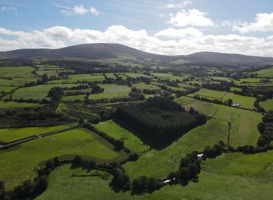 Tooreenbane, Millstreet