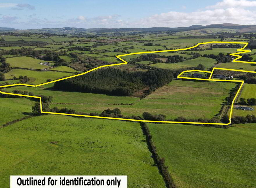 Tooreenbane, Millstreet