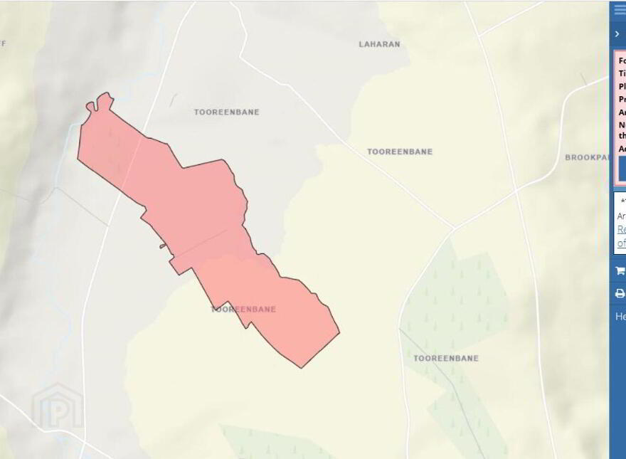 Tooreenbane, Millstreet