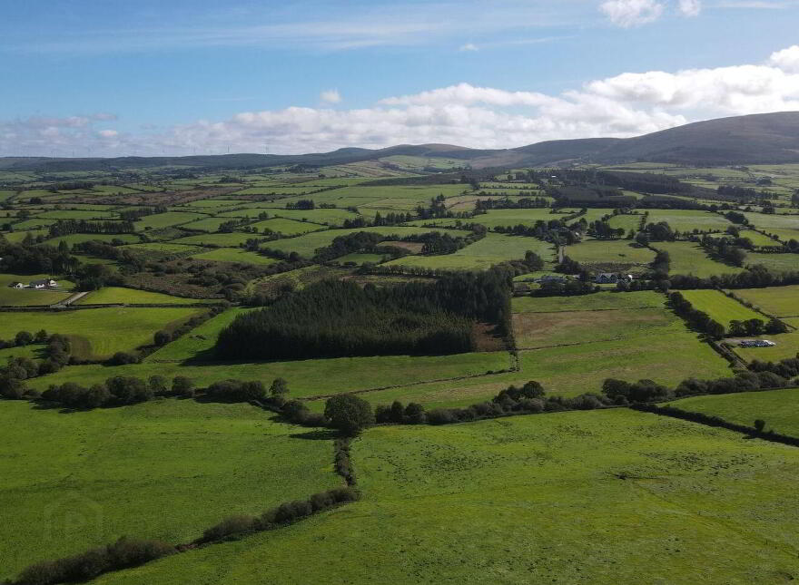 Tooreenbane, Millstreet