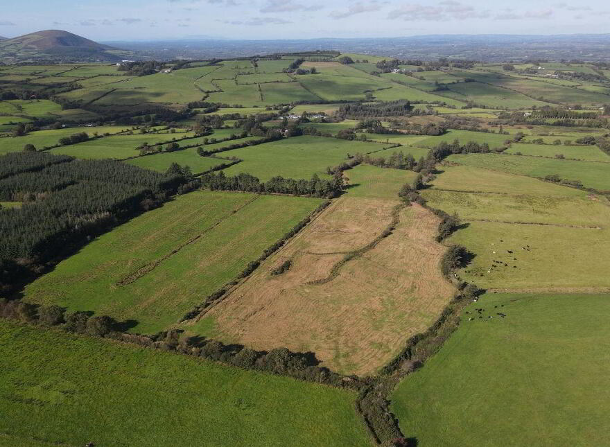 Tooreenbane, Millstreet
